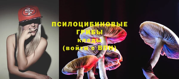 прущие грибы Алексеевка