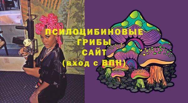 прущие грибы Алексеевка