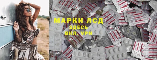 прущие грибы Алексеевка