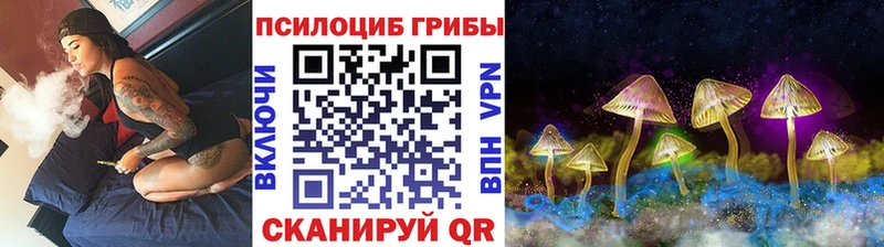 ссылка на мегу вход  darknet официальный сайт  Псилоцибиновые грибы Cubensis  Балашов 